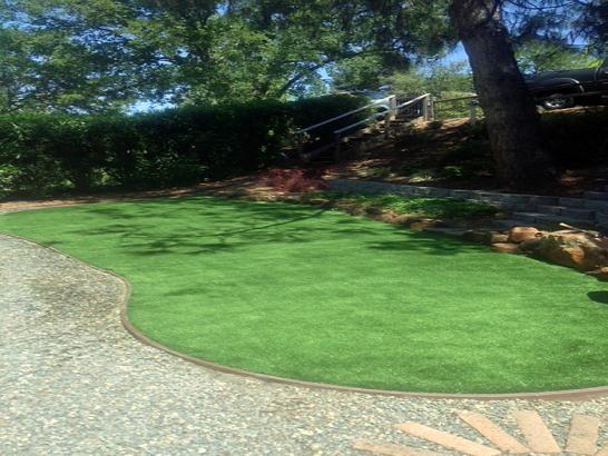 Artificial Grass Photos: Fake Grass Charter Oak California  Landscape  Yard