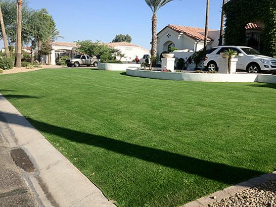 Artificial Grass Photos: Synthetic Turf Foothill Ranch California  Landscape  Front