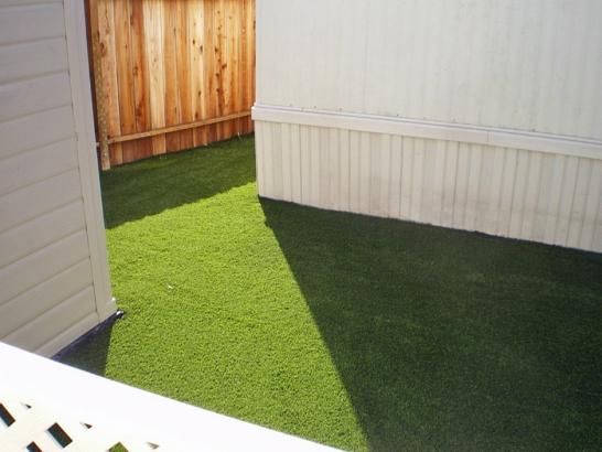 Artificial Grass Photos: Artificial Pet Grass East Rancho Dominguez California Installation