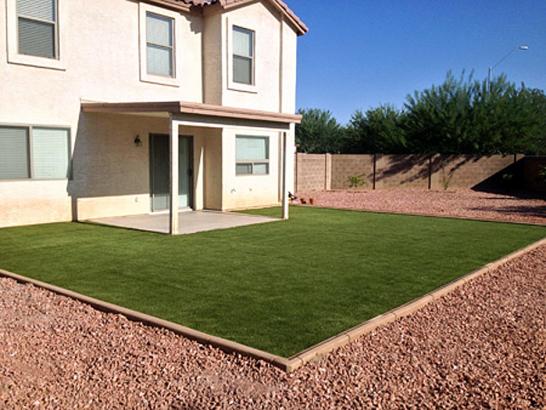 Artificial Grass Photos: Fake Grass Muscoy California  Landscape  Yard