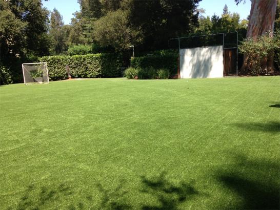 Artificial Grass Photos: Artificial Turf Stadium Vernon California  Backyard
