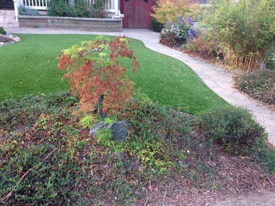 Artificial Grass Photos: Synthetic Turf Westminster California  Landscape  Front Yard