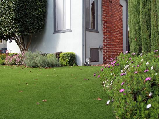 Artificial Grass Photos: Synthetic Turf Wrightwood California  Landscape  Front Yard