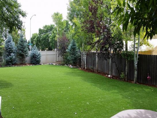 Artificial Grass Photos: Fake Pet Grass Temple City California for Dogs  Backyard