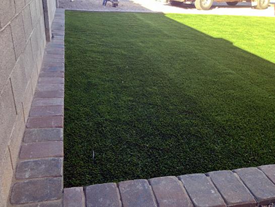 Artificial Grass Photos: Artificial Pet Grass West Whittier-Los Nietos California