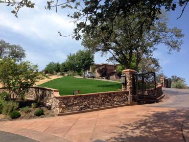 Artificial Grass Photos: Artificial Turf Bellflower California Lawn  Front Yard