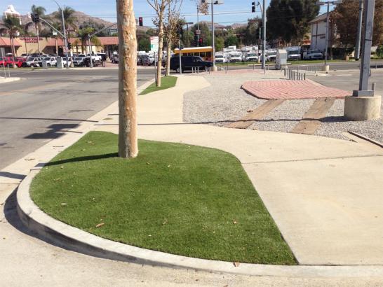 Artificial Grass Photos: Fake Turf Long Beach California  Landscape  Landscape Commercial