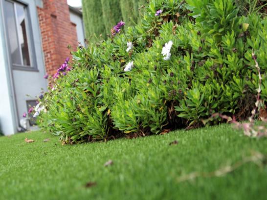 Artificial Grass Photos: Artificial Grass Val Verde California  Landscape  Front Yard