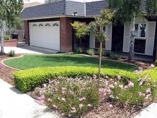 Artificial Grass Photos: Artificial Turf Woodcrest California Lawn  Front Yard