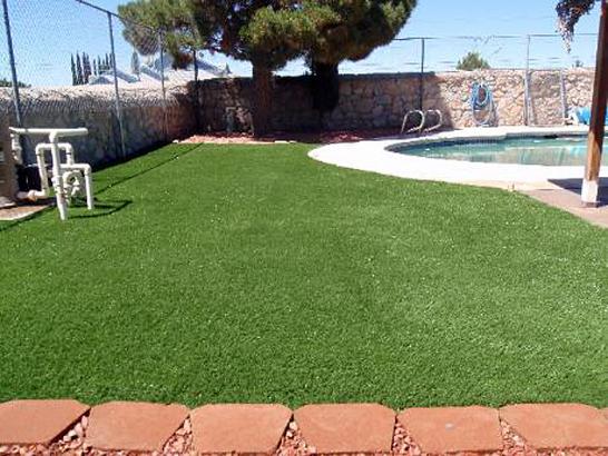 Artificial Grass Photos: Synthetic Pet Grass Lennox California for Dogs  Swimming