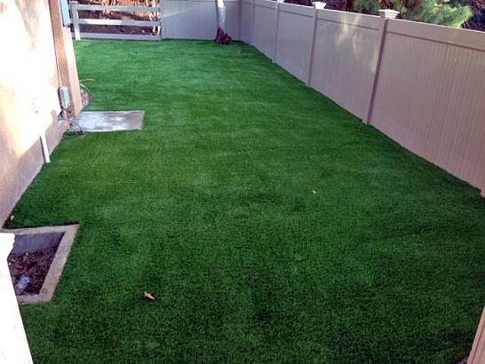 Synthetic Pet Grass Compton California for Dogs  Yard artificial grass