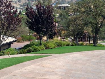 Artificial Grass Photos: Fake Grass Sherman Oaks California  Landscape  Front Yard