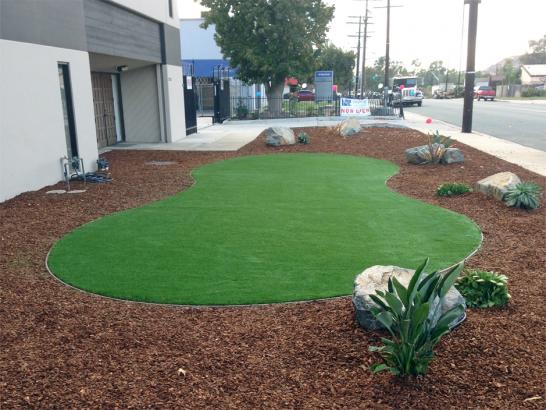 Artificial Grass Photos: Synthetic Turf Huntington Beach California Lawn  Landscape