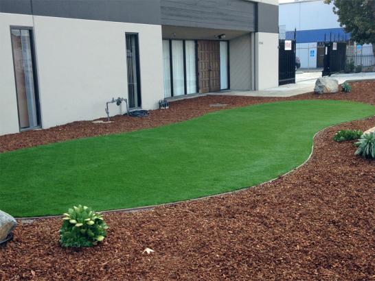 Artificial Grass Photos: Synthetic Turf North Tustin California  Landscape  Landscape