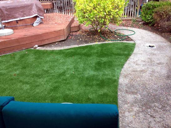 Artificial Grass Photos: Fake Turf Newport Beach California  Landscape  Yard