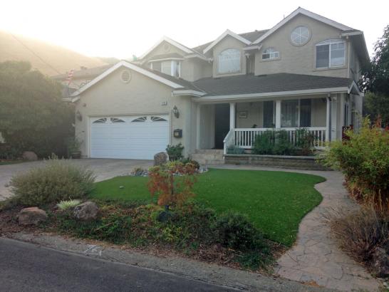 Artificial Grass Photos: Fake Turf Oak Park California Lawn  Front Yard