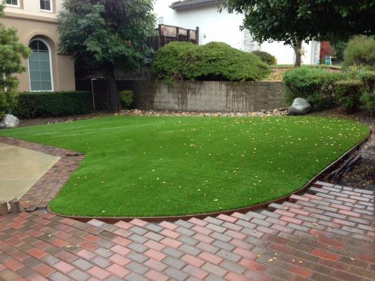 Artificial Grass Photos: Fake Grass Agoura Hills California  Landscape  Front Yard