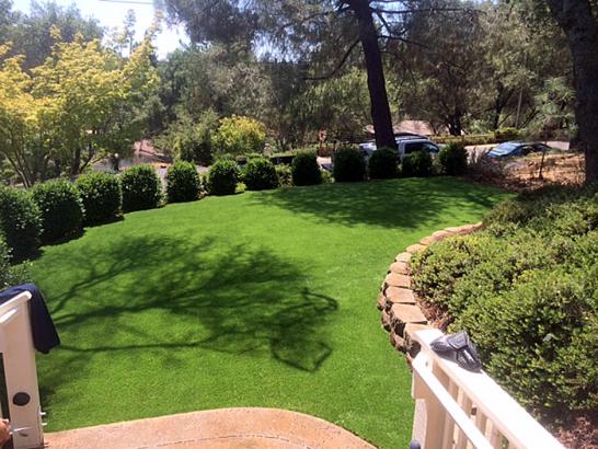 Artificial Grass Photos: Artificial Turf Walnut California Lawn  Yard