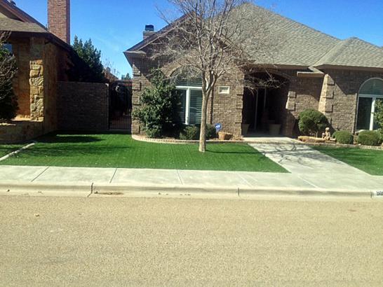 Artificial Grass Photos: Fake Grass West Covina California  Landscape  Front Yard