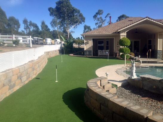 Artificial Grass Photos: Putting Greens Long Beach California Fake Turf  Yard