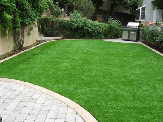 Artificial Grass Photos: Synthetic Grass Agoura California Lawn