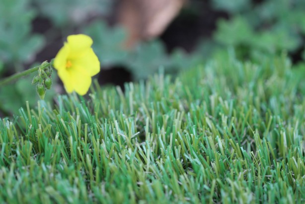 Artificial Grass For Yards