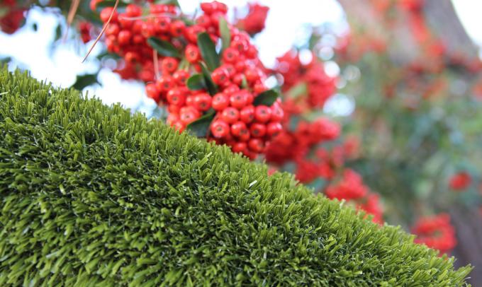 The Artificial Grass Designed Specifically For Dogs