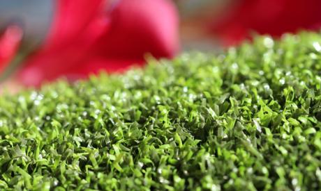 Indoor Putting Green