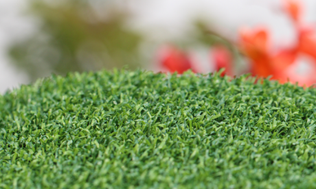 Putting Green Turf