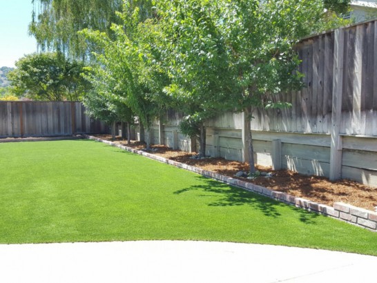 Green Lawn Bostonia, California Lawns, Small Backyard Ideas artificial grass