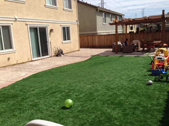 Artificial Grass Photos: Artificial Grass Carpet La Mesa, California