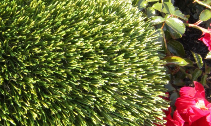 V Blade-64 syntheticgrass Artificial Grass Los Angeles