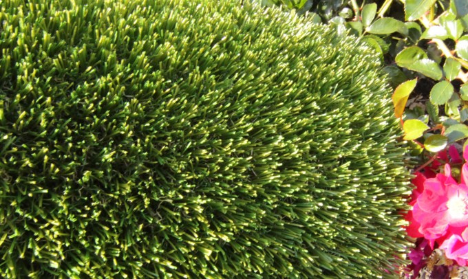 V Blade-77 syntheticgrass Artificial Grass Los Angeles