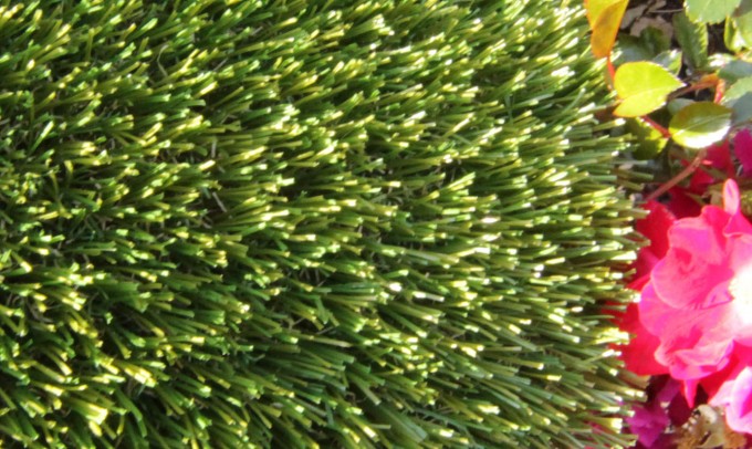 V Blade-77 syntheticgrass Artificial Grass Los Angeles