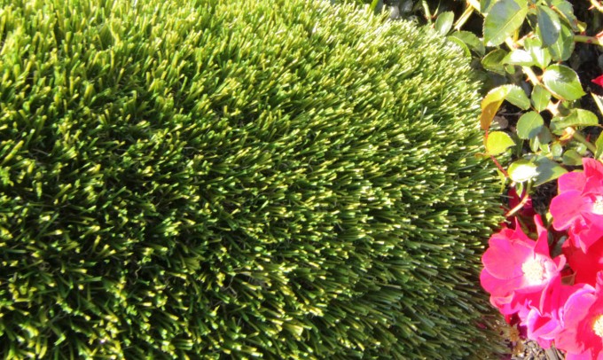 V Blade-77 syntheticgrass Artificial Grass Los Angeles