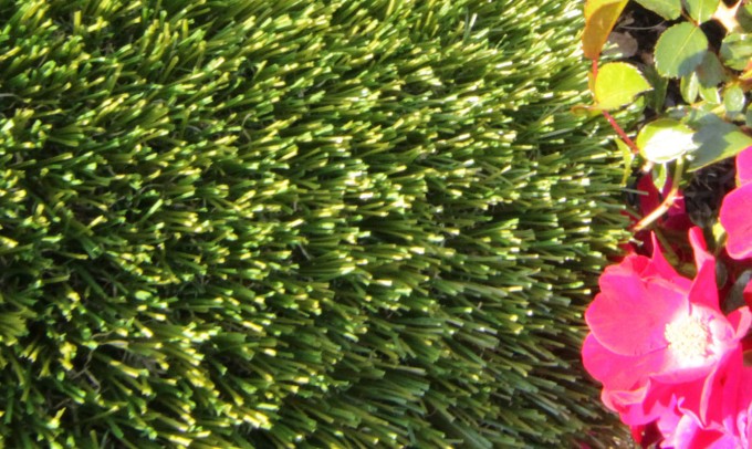 V Blade-77 syntheticgrass Artificial Grass Los Angeles