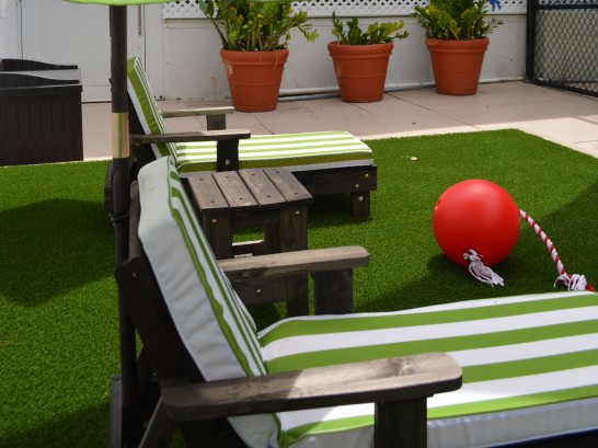 Artificial Grass Photos: Synthetic Turf Supplier Winter Gardens, California