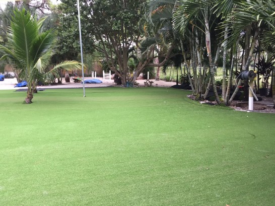 Artificial Grass Photos: Grass Turf Mountain Mesa, California