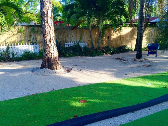 Artificial Grass Photos: Artificial Grass Carpet Squirrel Mountain Valley, California