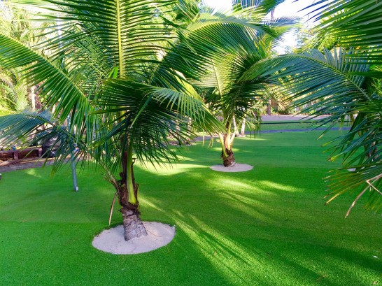 Artificial Grass Photos: Fieldturf Poway, California