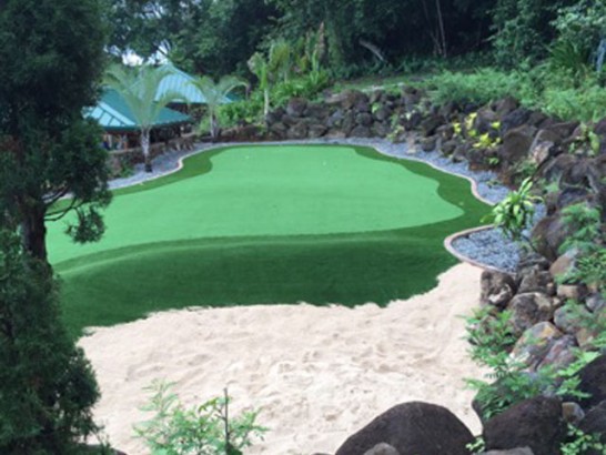 Artificial Grass Photos: Green Lawn Bermuda Dunes, California Indoor Putting Green