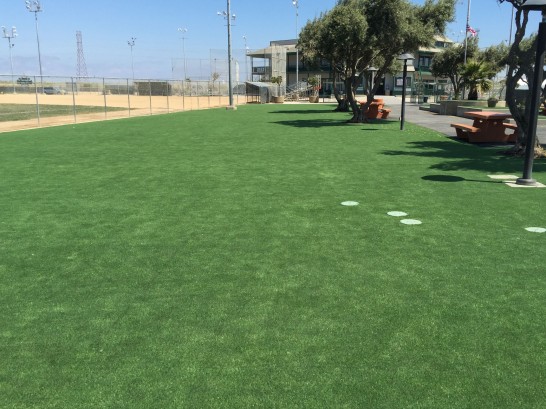 Artificial Grass Photos: Synthetic Lawn Greenacres, California
