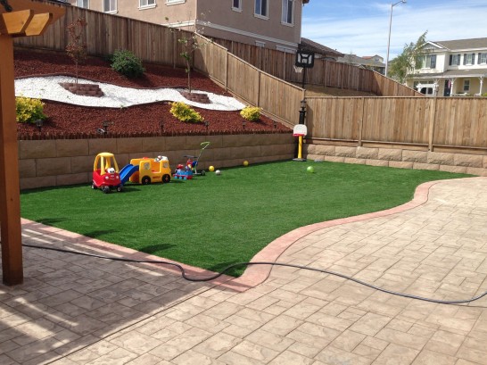 Artificial Grass Photos: Artificial Grass Carpet Bodfish, California