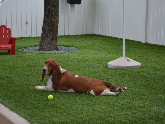 Artificial Grass Photos: Best Artificial Grass Weldon, California