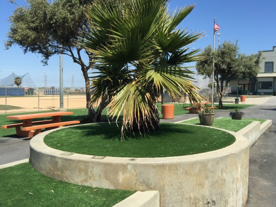 Artificial Grass Photos: Astroturf China Lake Acres, California Playgrounds