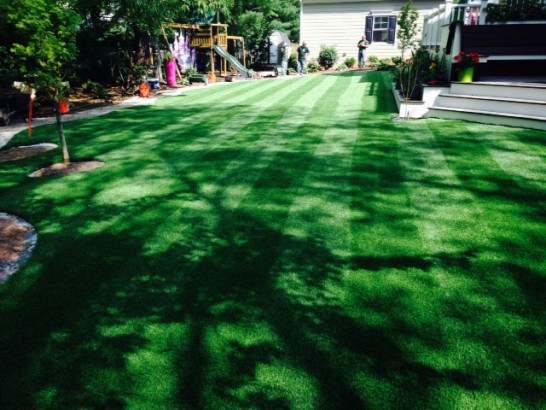 Artificial Grass Photos: Synthetic Turf Indian Wells, California