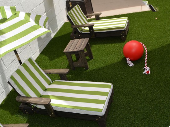 Artificial Grass Photos: Astroturf Ramona, California