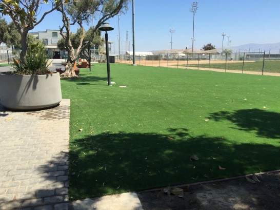 Artificial Grass Photos: Grass Installation Yucca Valley, California