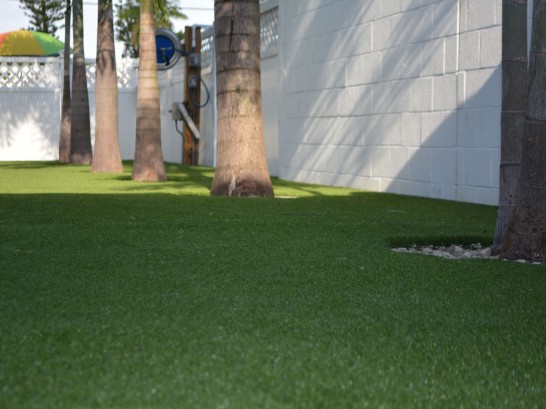 Artificial Grass Photos: Synthetic Turf New Cuyama, California
