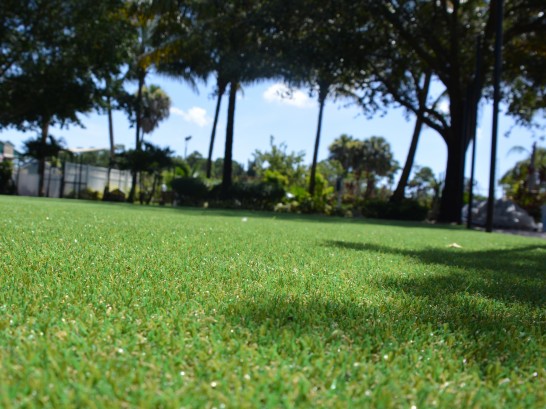 Artificial Grass Photos: Artificial Turf Cost Taft Heights, California